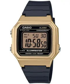 Чоловічий годинник Casio W-217HM-9AVEF, зображення 
