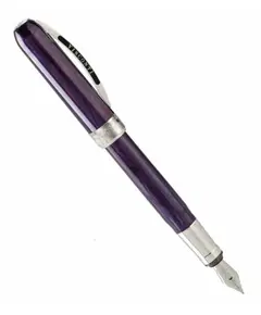 48243A10FP Rembrandt Purple Steel FP Пір'яна ручка Visconti, зображення 