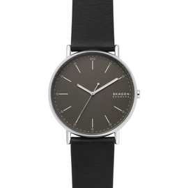 Мужские часы Skagen SKW6528, фото 
