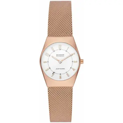 WATCH.UA Skagen SKW3078 10830