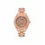 Женские часы Anne Klein AK/3910PKRG, фото 2