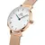 Часы Daniel Wellington Petite Roman Numerals Melrose DW00100681, фото 2