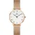 Часы Daniel Wellington Petite Roman Numerals Melrose DW00100681, фото 