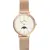 Часы Daniel Wellington Petite Moonphase DW00100773, фото 