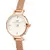 Часы Daniel Wellington Petite Mini DW00100744, фото 2