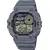 Мужские Часы Casio Collection WS-1700H-8A, фото 