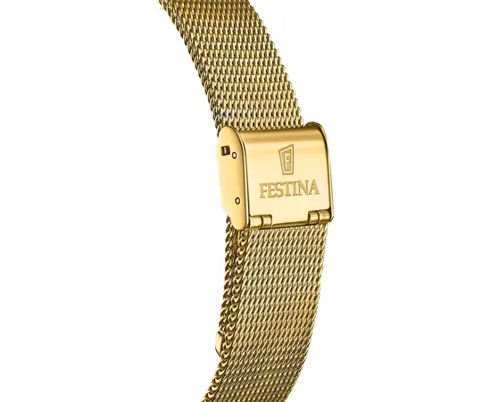 Чоловічий годинник Festina Swiss Made F20022/1, зображення 2