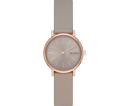 Часы SKAGEN SKW3060, фото 