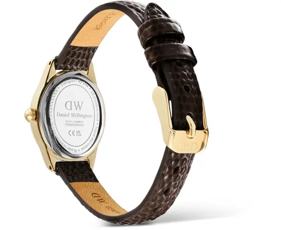 Жіночий Годинник Daniel Wellington Ophelia Mini DW00100891, зображення 4