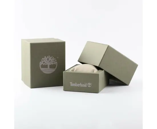 Мужские часы Timberland TBL.13321JSTB/02B, фото 