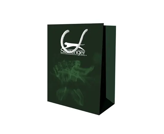 Мужские часы Slazenger SL.09.6200.2.02, фото 3