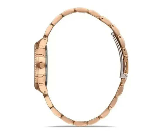 Женские часы Ferro FL21286A-C6, фото 2