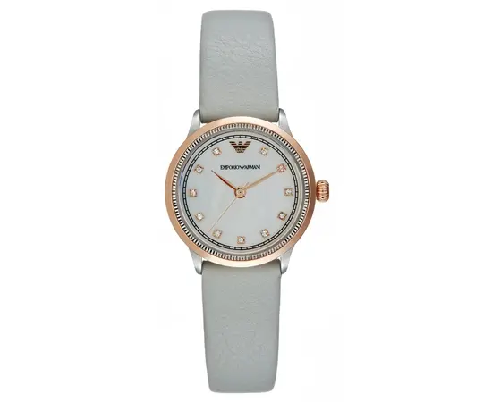 Женские часы Emporio Armani AR1964