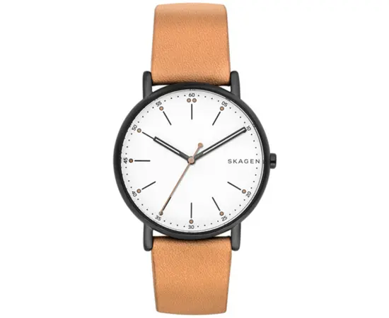 Чоловічий годинник Skagen SKW6352, зображення 