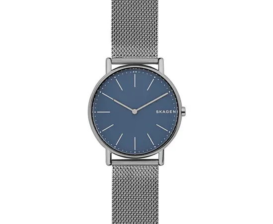 Мужские часы Skagen SKW6420, фото 
