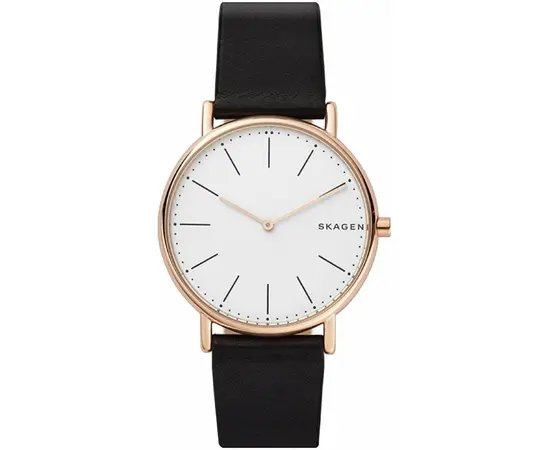 Мужские часы Skagen SKW6430, фото 