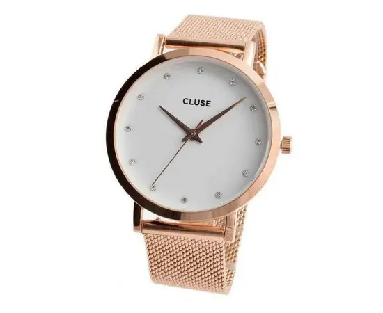Жіночий годинник Cluse CL18303, зображення 