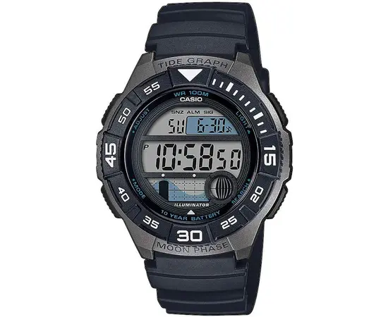 Мужские часы Casio WS-1100H-1AVEF, фото 
