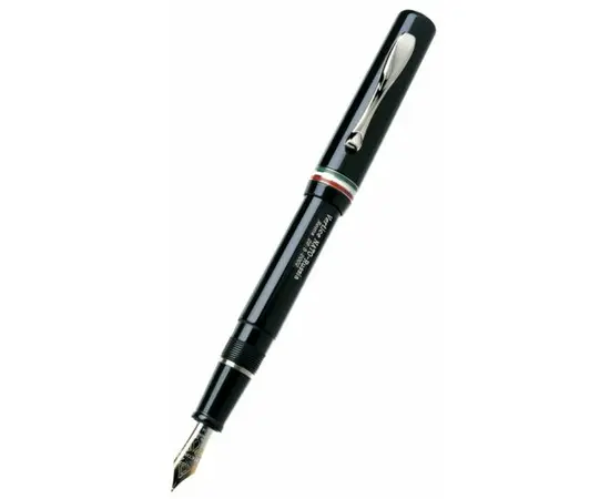 Перьевые ручки Visconti   47701A20M  , фото 