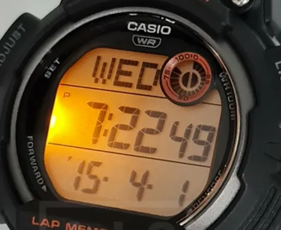 Мужские часы Casio WS-2100H-8AVEF, фото 5